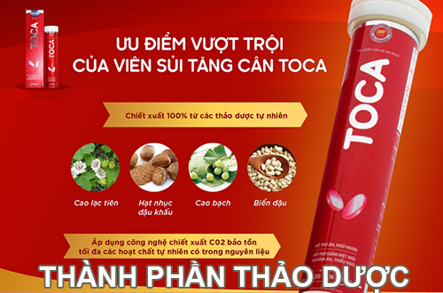 viên sủi tăng cân toca