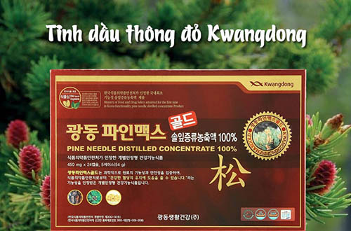 Tinh Dầu Thông Đỏ KWANGDONG Hàn Quốc 120 Viên